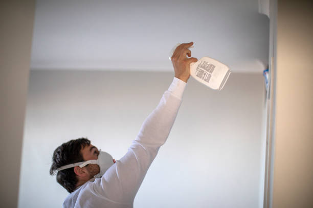 Best Water Damage Restoration  in Ralls, TX