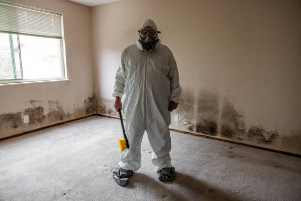 Best Commercial Mold Removal  in Ralls, TX