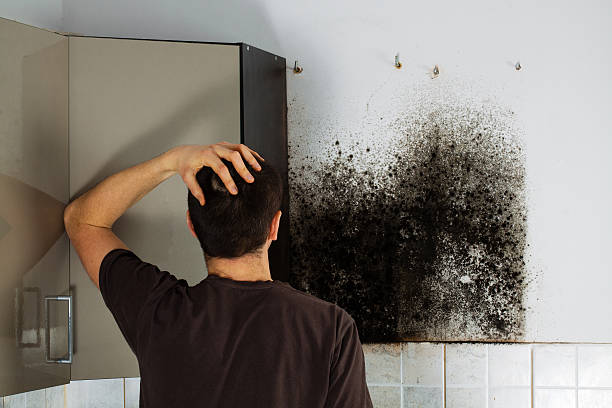 Best Attic Mold Removal  in Ralls, TX
