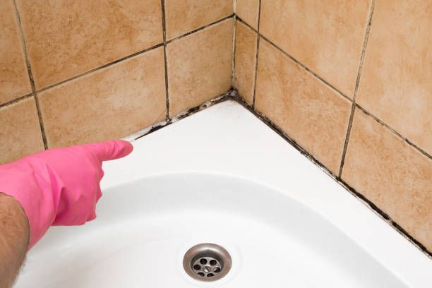 Best Crawl Space Mold Removal  in Ralls, TX